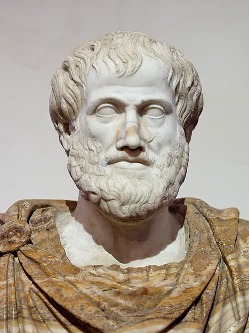 Classical marble bust, duotone